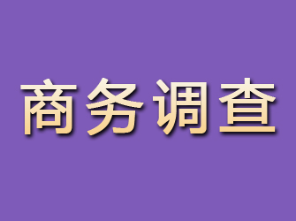 江苏商务调查